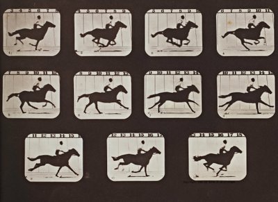 Sallie Gardner Running from The Attitudes of Animals in Motion by Eadweard Muybridge